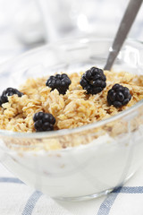 Breakfast with yogurt, crunches, and blackberry