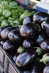 purple eggplants