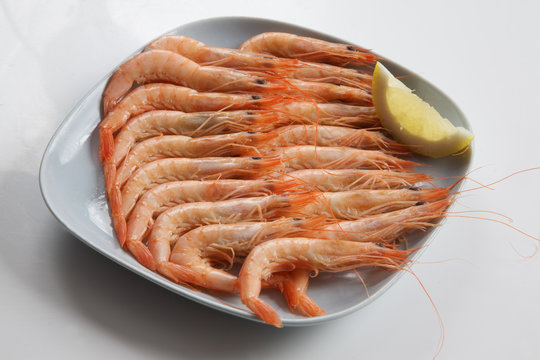plato de gambas cocidas
