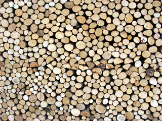 shed of logs