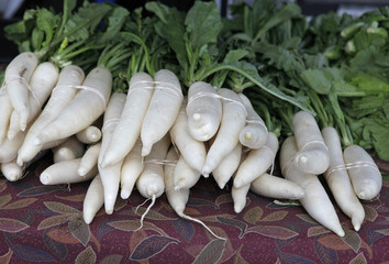 daikon