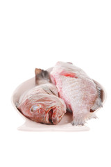 raw fresh bass fish