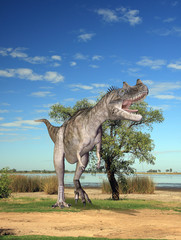Fototapeta na wymiar Ceratosaurus czekanie