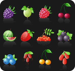 Berries black icon set.