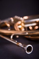 Obraz na płótnie Canvas French Horn