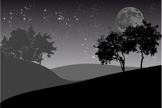 trees and night sky with moon