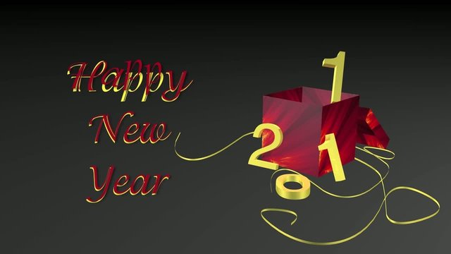 HappyNewYear2011_005