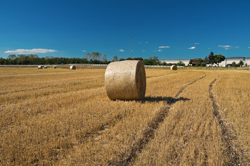 Rolling haystack in countryside.