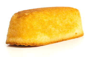 sponge