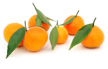 Tangerine with green leaves
