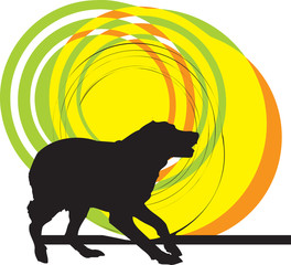 Dog illustration