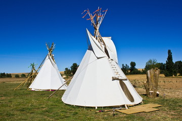 Tippi © Gerhard Reus