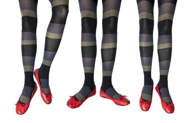 Studio photo of the female legs in colorful tights