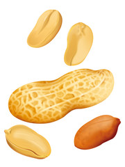 Peanuts Illustration