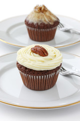 chocolate cupcakes