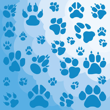 Paw print of wolf vector background