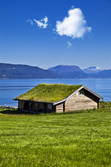 Grassy roof