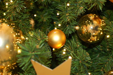 Fototapeta na wymiar Christmas tree