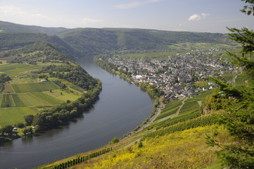 Mosel bei Kr&ouml;v