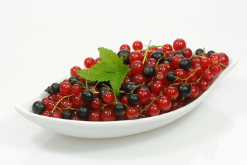 Johannisbeeren
