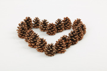Pine cones