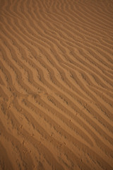 Desert Sand