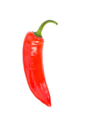 Red chili pepper.