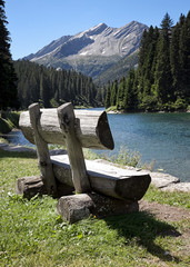 Sunny spot by the lake