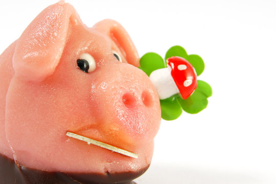 schweinchen gl&uuml;ck #3