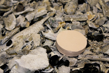 Krematorium
