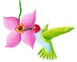 Green humming bird and flower
