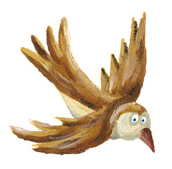 Brown bird flying