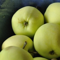 Äpfel Sorte 