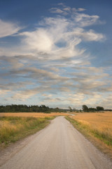 country road