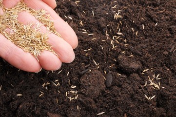 sowing hand
