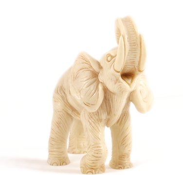 Fototapeta Elephant model standing towards white background