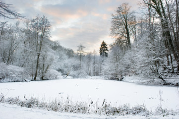 Frozen lake and trees in the winter forest