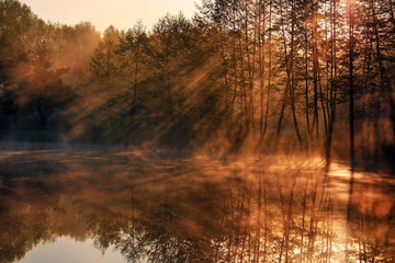 Reflection of the sun's rays in the lake