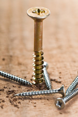 Schraube und Holz
