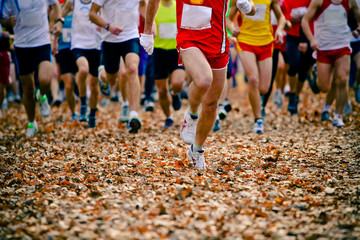 People running in the autumn race