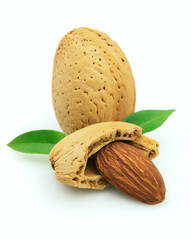 Sweet almonds with leaves