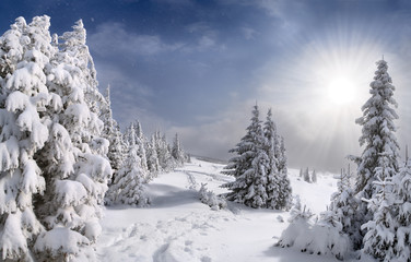 Beautiful winter landscape in the Carpathian mountains