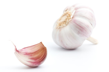 Garlic on a white background