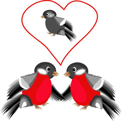 Bullfinches in the love