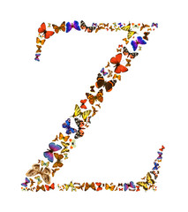 Butterfly letter