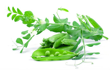 Pea