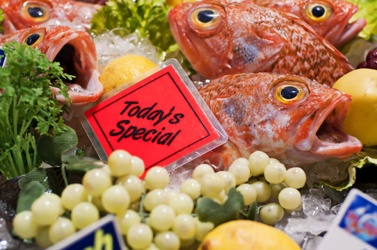 Fischauslage am Fischmark