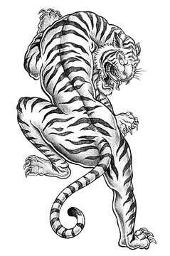 Tiger Tattoos Images – Browse 54,093 Stock Photos, Vectors, and Video |  Adobe Stock