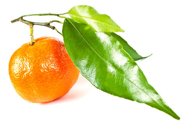 fresh mandarine with leaves