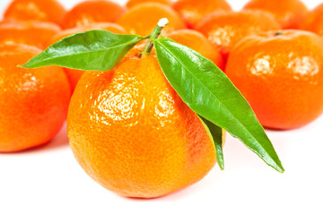 Many tangerine